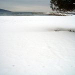 2012-02.03 006
